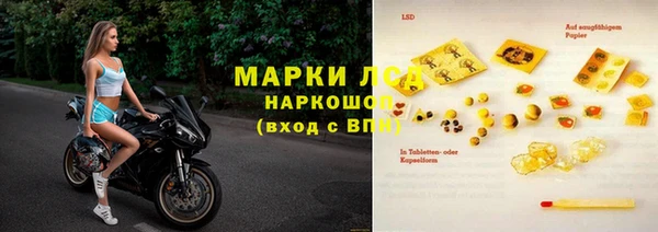 стаф Осташков