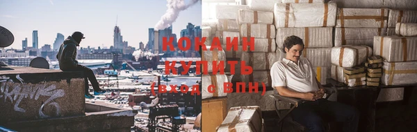 стаф Осташков