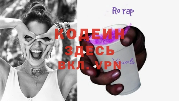 шишки Осинники