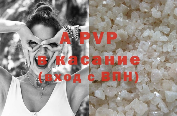стаф Осташков