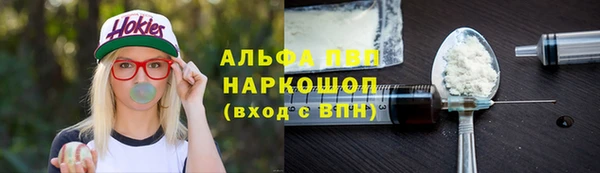 шишки Осинники