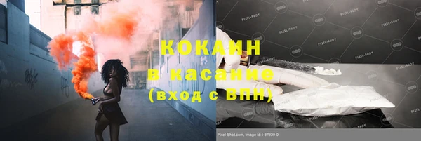 шишки Осинники