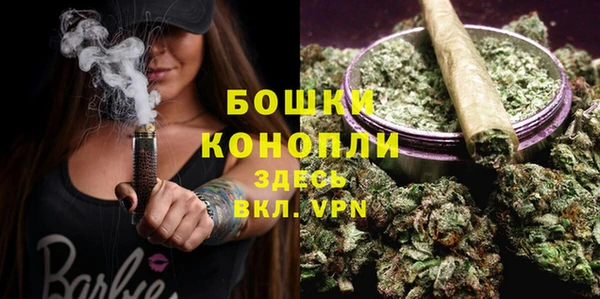 шишки Осинники