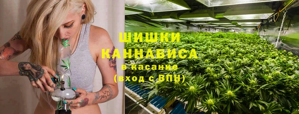 стаф Осташков