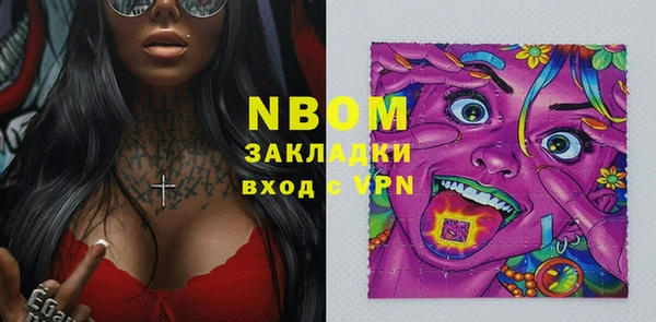 шишки Осинники
