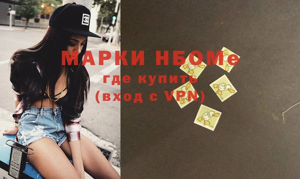 шишки Осинники