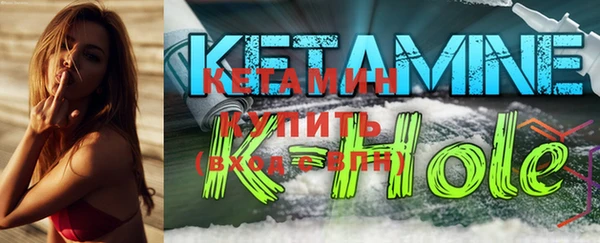 шишки Осинники