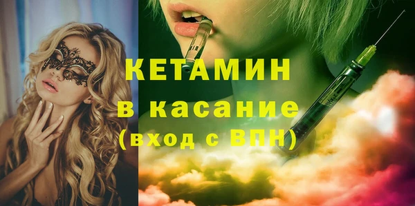 шишки Осинники