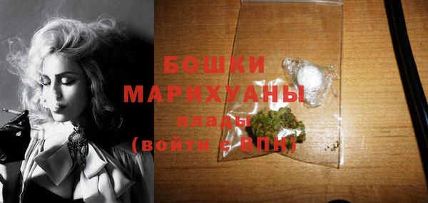 гашик Алагир