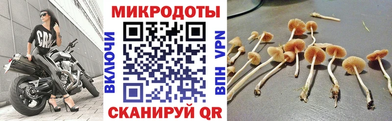 Псилоцибиновые грибы мицелий где купить наркотик Урень